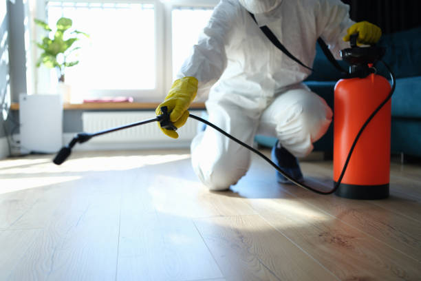 Reliable Sewage Cleanup contractor in Pottsville, AR by Dulley Family Biohazard Services